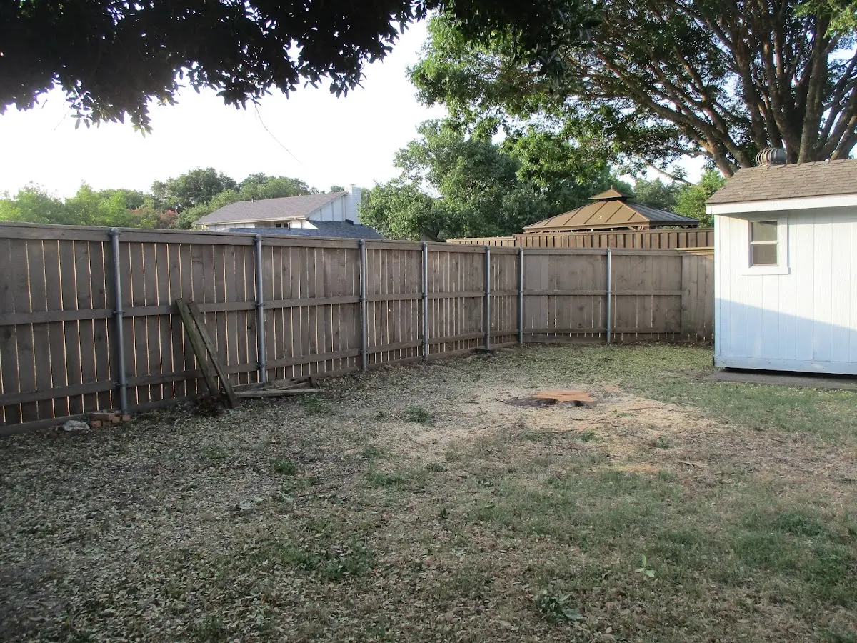 Cleared yard after professional tree removal in Schnecksville